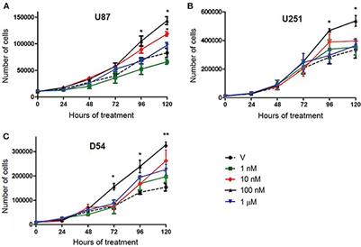 Testosterone Promotes Glioblastoma Cell Proliferation, Migration, and Invasion Through Androgen Receptor Activation